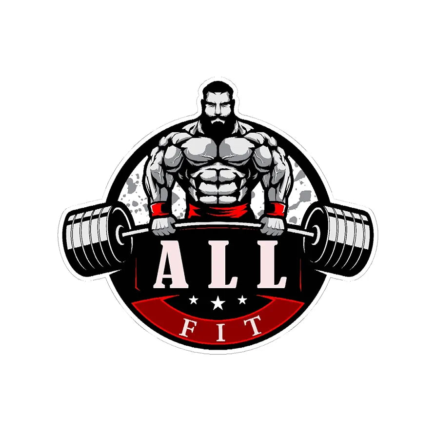 ALLFIT Fitness 20 in 1 BENCHE for Home Gym All in 1(4X2 Heavy Iron Pipe=Weights Capacity=300 Plus
