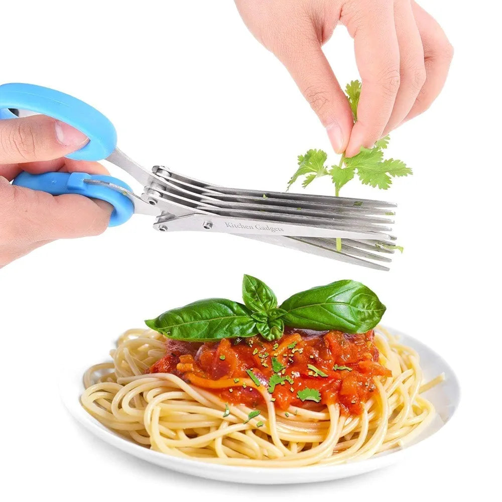 Stainless Steel 5-Blade Herb Scissors – Multi-Layer Coriander & Vegetable Cutter with Cleaning Brush for Quick and Easy Herb and Spice Chopping