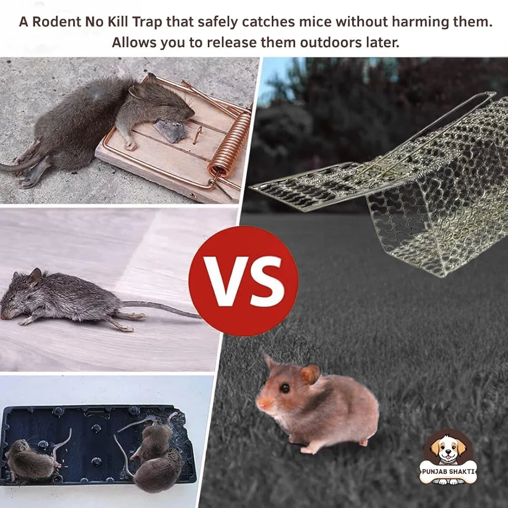 PUNJAB SHAKTI Heavy Duty Rat Catcher Trap — Humane & Reusable Mouse Trap for Home, Office & Warehouse — Easy to Set, Strong & Reliable Rodent Control