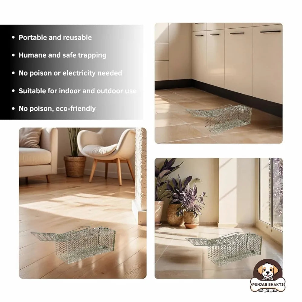 PUNJAB SHAKTI Heavy Duty Rat Catcher Trap — Humane & Reusable Mouse Trap for Home, Office & Warehouse — Easy to Set, Strong & Reliable Rodent Control 